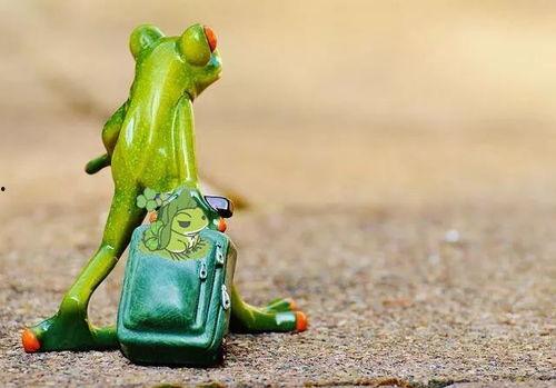 盘点网红青蛙吃瓜,趣味横生引发网友热议