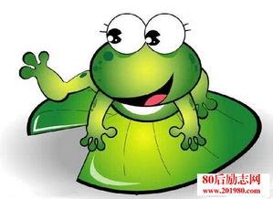 盘点网红青蛙吃瓜,趣味横生引发网友热议