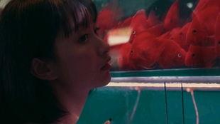 吃瓜少女网剧免费观看