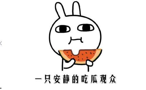 吃瓜网红抖音,揭秘娱乐圈幕后故事