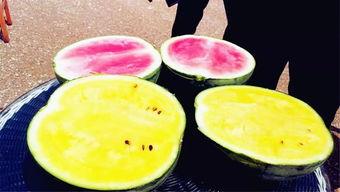 网爆吃瓜爆料图片大全高清