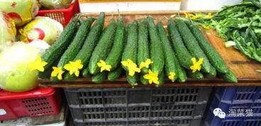 吃瓜网爆最新事件潍坊,吃瓜网揭露最新事件，真相令人震惊！