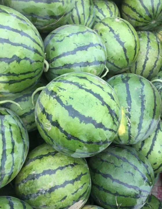 新乐718吃瓜网,揭秘娱乐圈最新热点，带你畅游八卦海洋