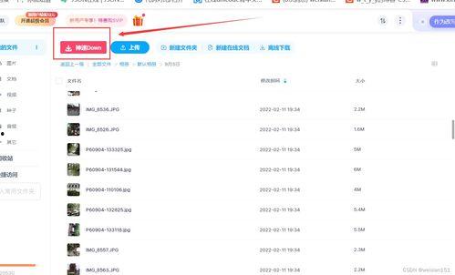 免费的吃瓜网盘资源下载
