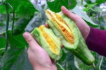 网红吃瓜中国,揭秘网络红人的幕后故事