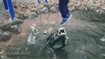 网红吃瓜鳄鱼视频大全,惊险刺激视频大盘点