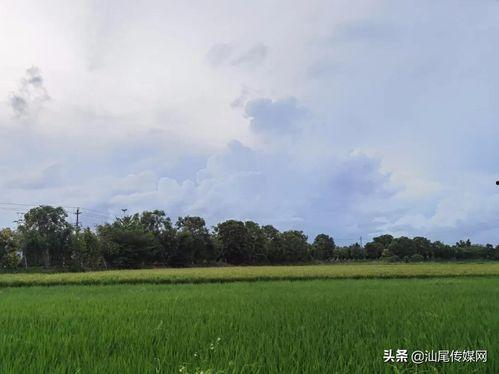 文案吃瓜网红怎么写吸引人,如何轻松吸引粉丝无数