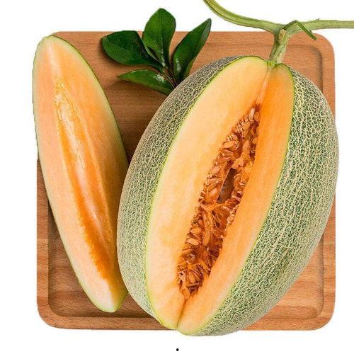 116su吃瓜网,揭秘娱乐圈最新热点，带你畅游八卦海洋