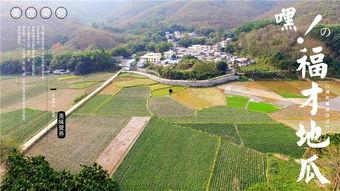 吃瓜网红中转站,热门话题背后的秘密