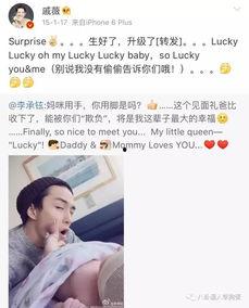 吃瓜群众最新寻人消息网,揭秘神秘失踪者背后真相