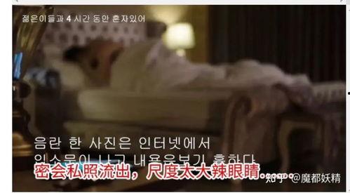 高清网红吃瓜视频大全,高清视频大盘点