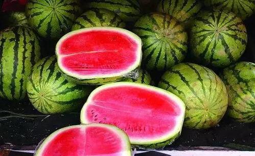 吃瓜网每日大赛mrd,精彩对决，谁将脱颖而出？