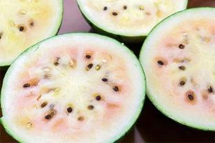 下沙网红吃瓜事件真相揭秘,真相背后竟是这样！